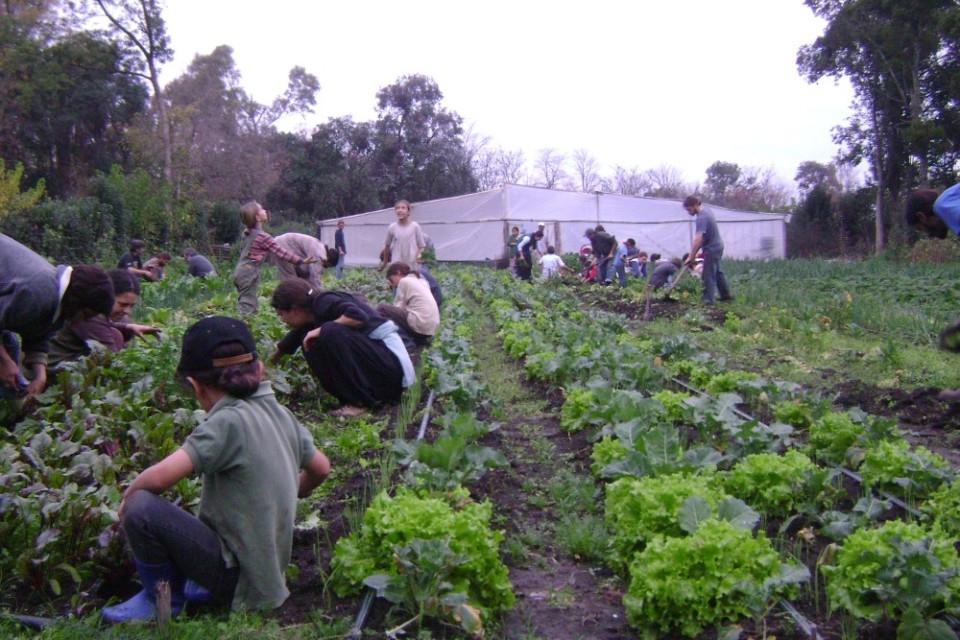 Argentina 12Tribes community